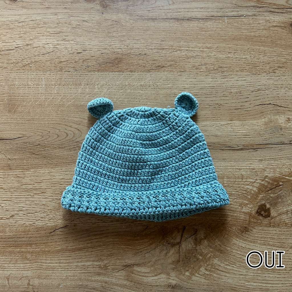 Baby Bear Beanie